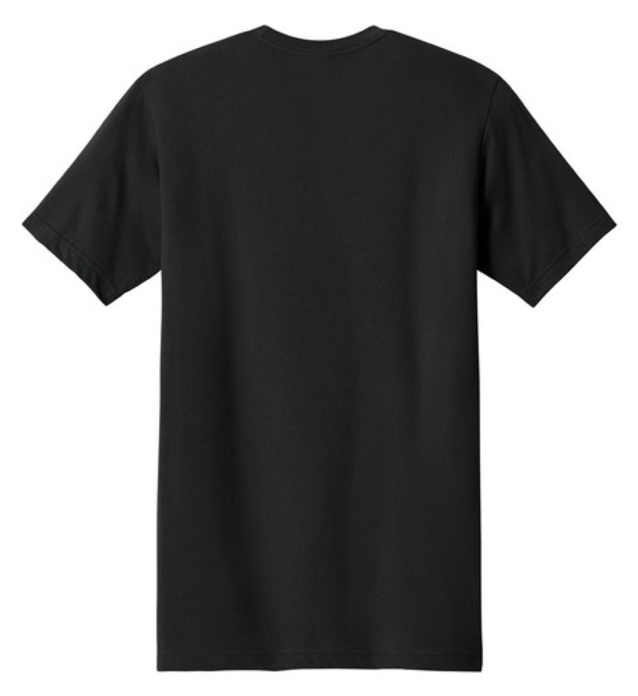 Next Level Ideal Jersey cotton tee — photo 2 of 5
